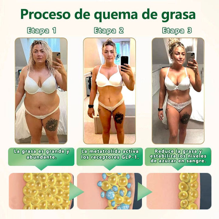 SHAPEGUARD - GRASA ABDOMINAL, ESTREÑIMIENTO, HINCHAZÓN, HÍGADO GRASO