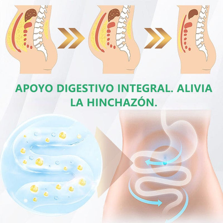 SHAPEGUARD - GRASA ABDOMINAL, ESTREÑIMIENTO, HINCHAZÓN, HÍGADO GRASO